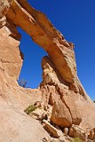 USA winter camp arch.jpg